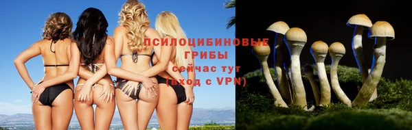 трава Киреевск