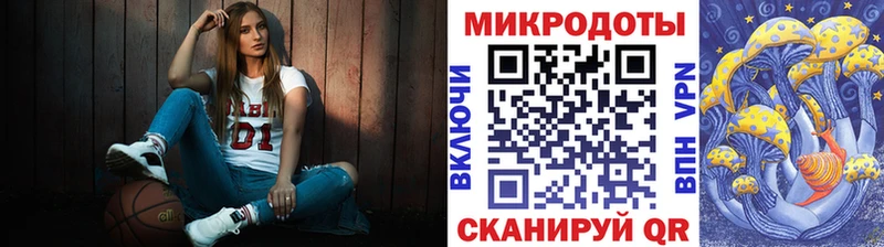 Псилоцибиновые грибы Psilocybine cubensis  Клинцы 